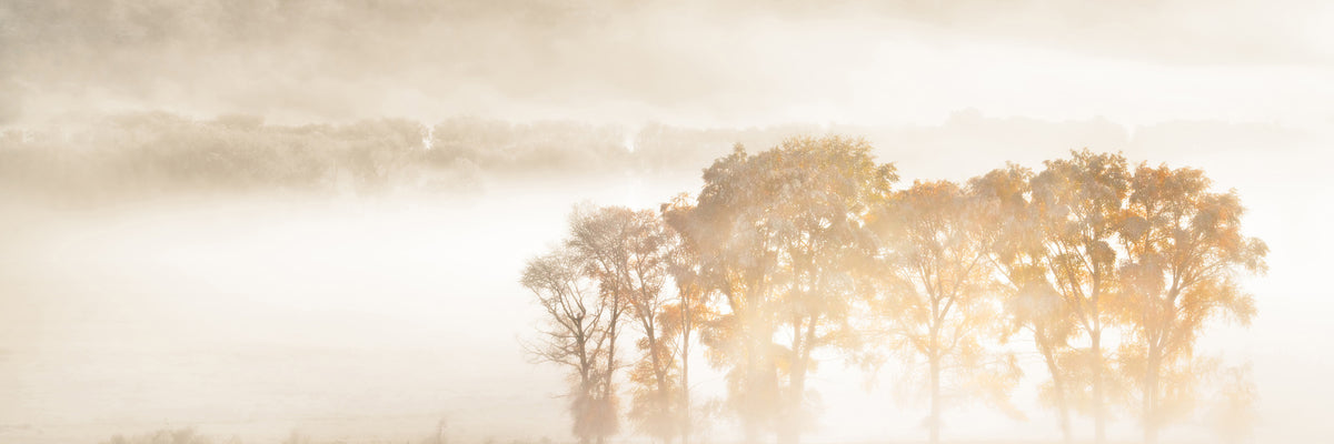 panoramic-3-piece-canvas-print-autumn-dreams-panorama