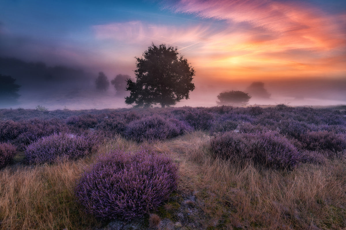 canvas-print-qautumn-longingq-x