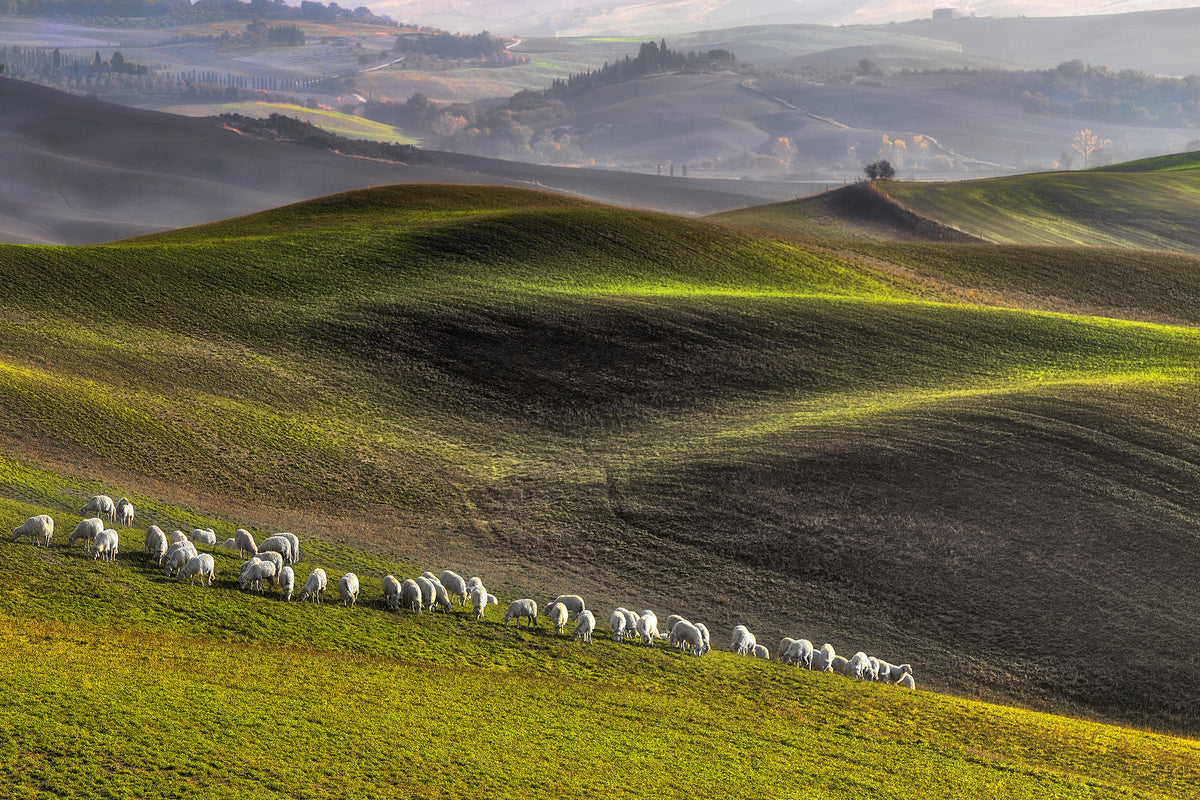 acrylic-print-pastoral-x