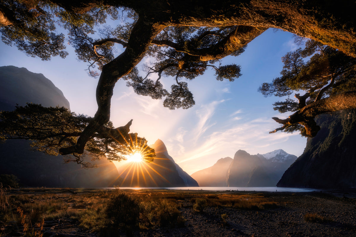 aluminium-print-sunny-day-in-milford-sound-x