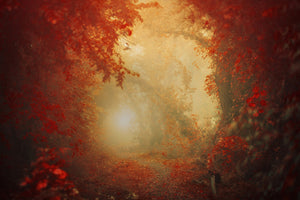 acrylic-print-personal-journey