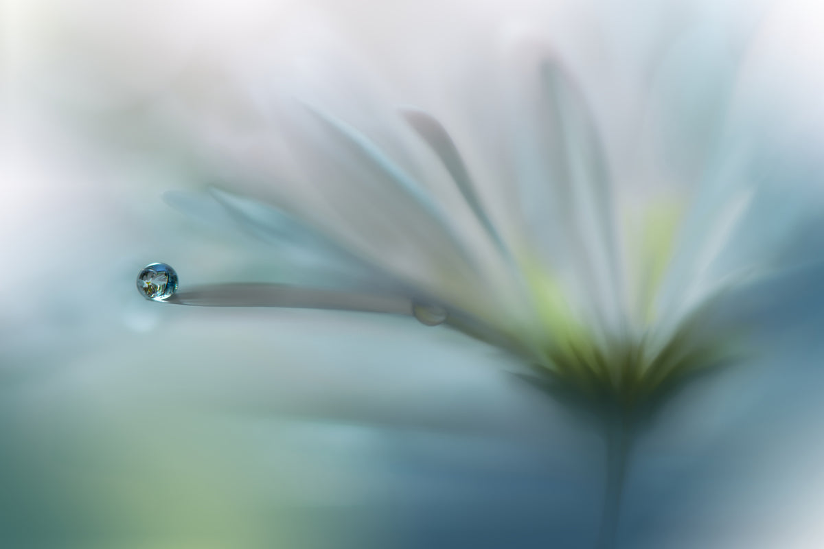 aluminium-print-fields-of-hope-x