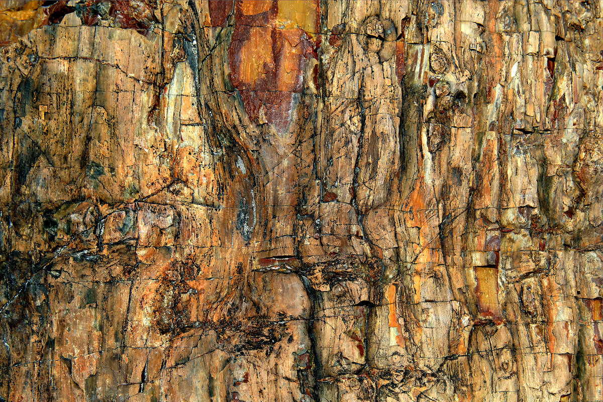aluminium-print-bark-x
