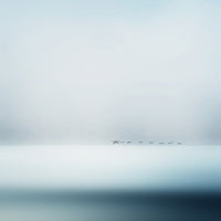9-piece-aluminium-print-wild-geese