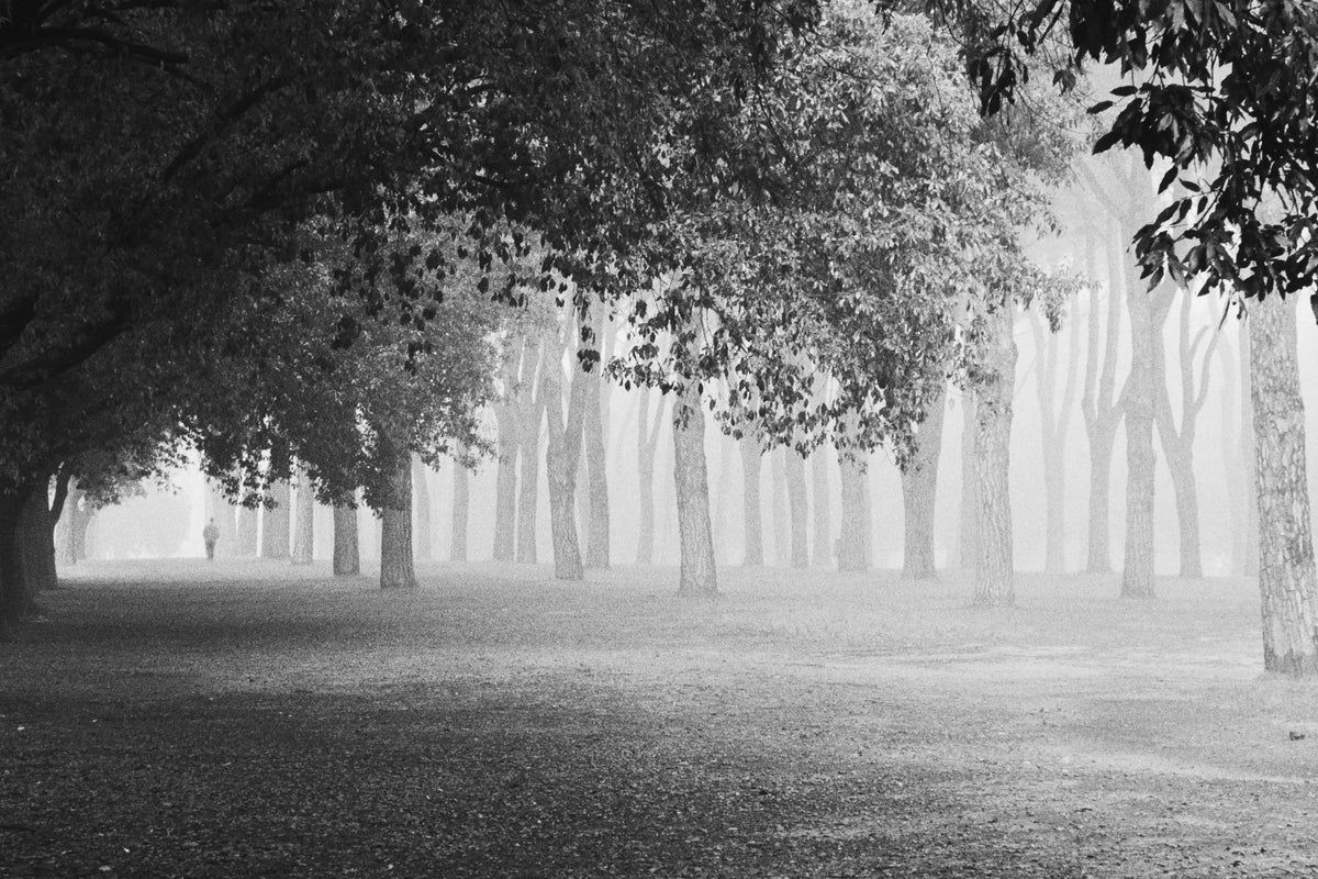 framedposter-print-morning-fog-xyy