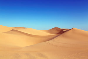 framedcanvas-print-beauty-desert