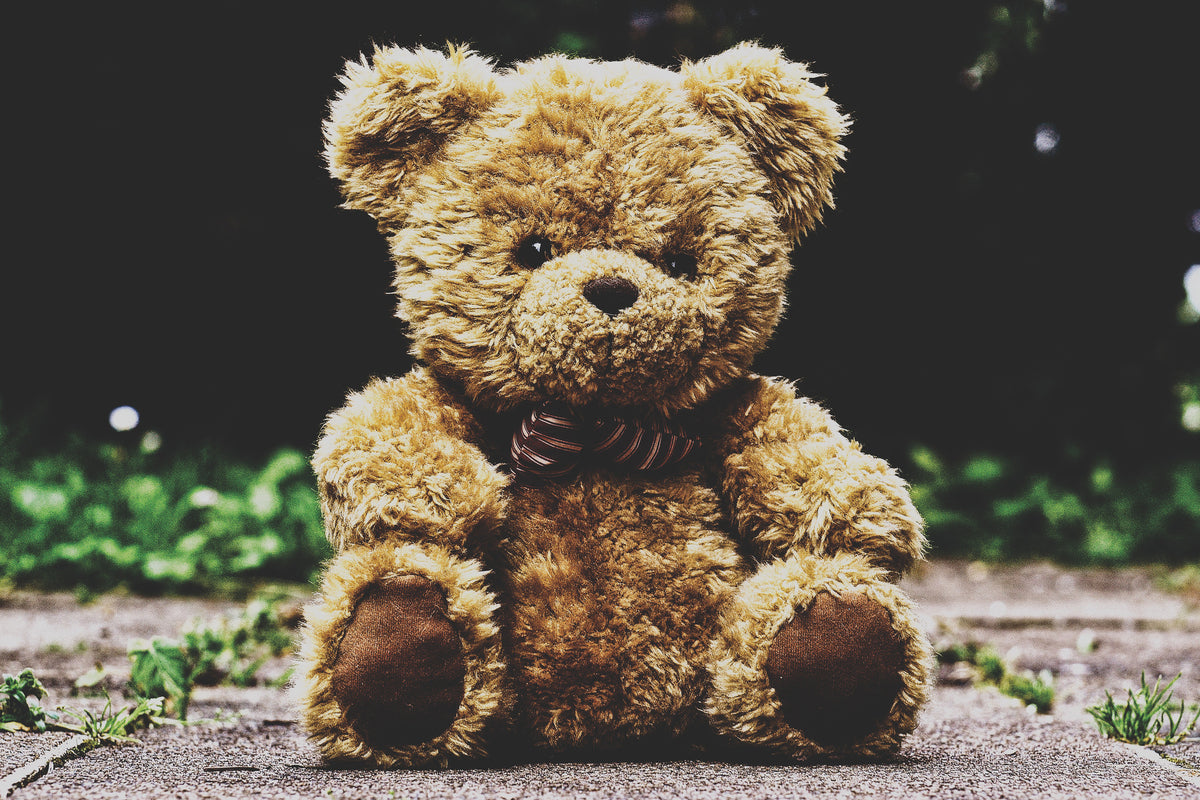 aluminium-print-love-teddy
