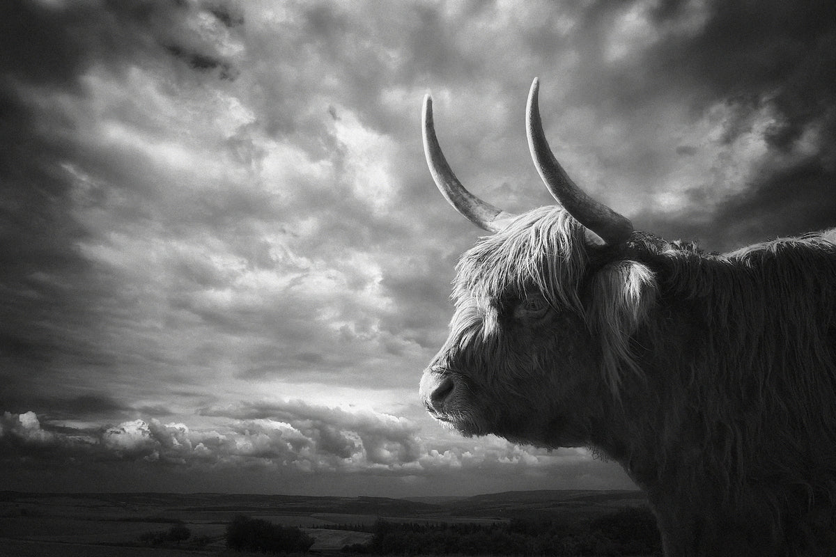 framedcanvas-print-the-highlands-x