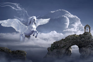 canvas-print-pegasus