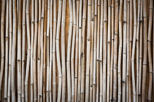 poster-print-dried-bamboos