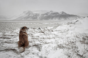 poster-print-snowstorm-x