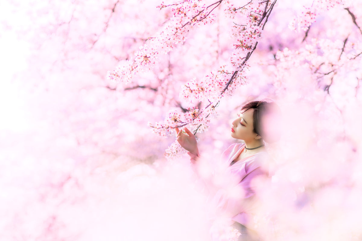 acrylic-print-sakura