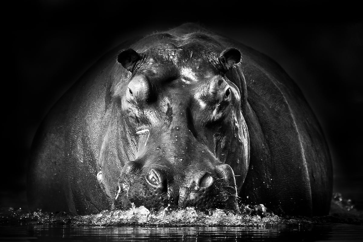 3-piece-acrylic-print-power