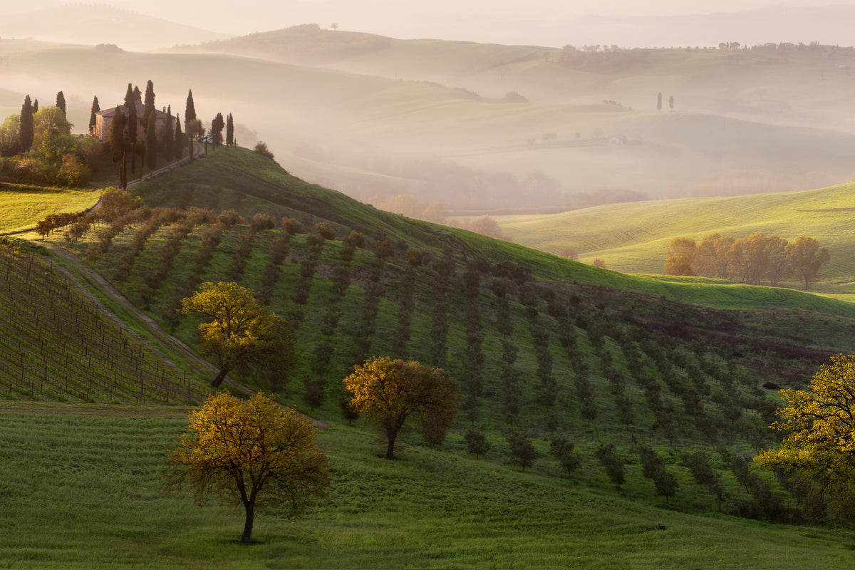 acrylic-print-tutte-le-strade-portano-a-belvedere
