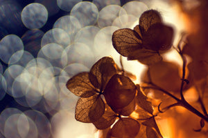 aluminium-print-bokeh-x