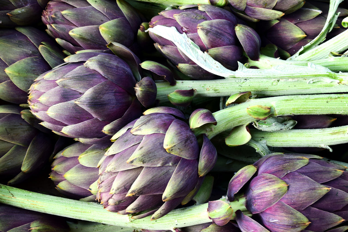 canvas-print-fresh-artichokes
