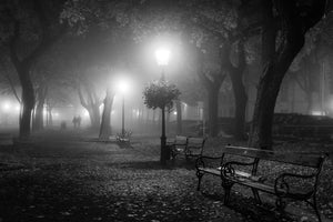 aluminium-print-foggy-day-x
