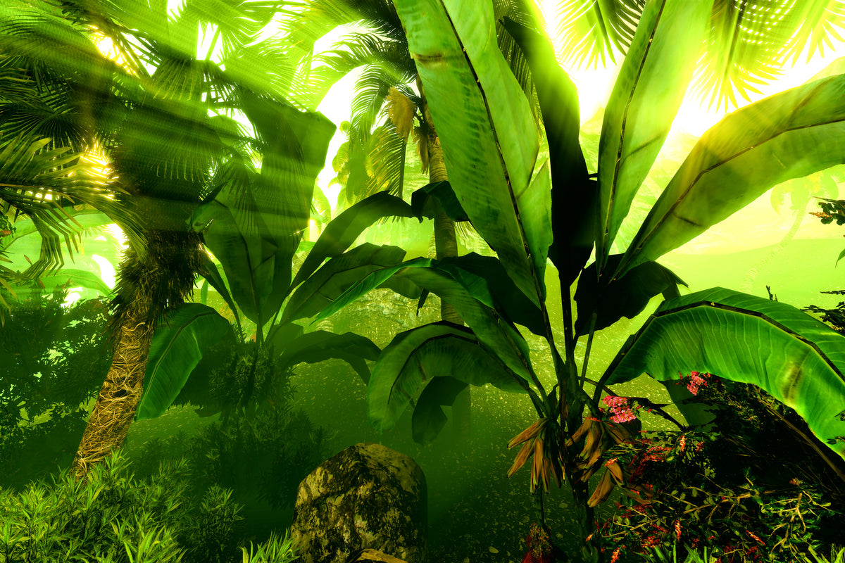 modern-3-piece-canvas-print-sunrise-in-the-rainforest