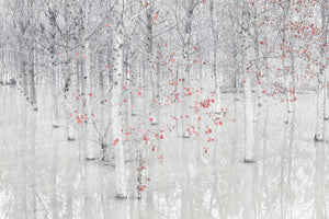 acrylic-print-red-a-white-x