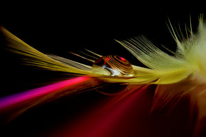 framedcanvas-print-colors-in-the-drop-x