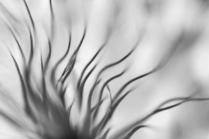 3-piece-aluminium-print-untitled-xvii-p