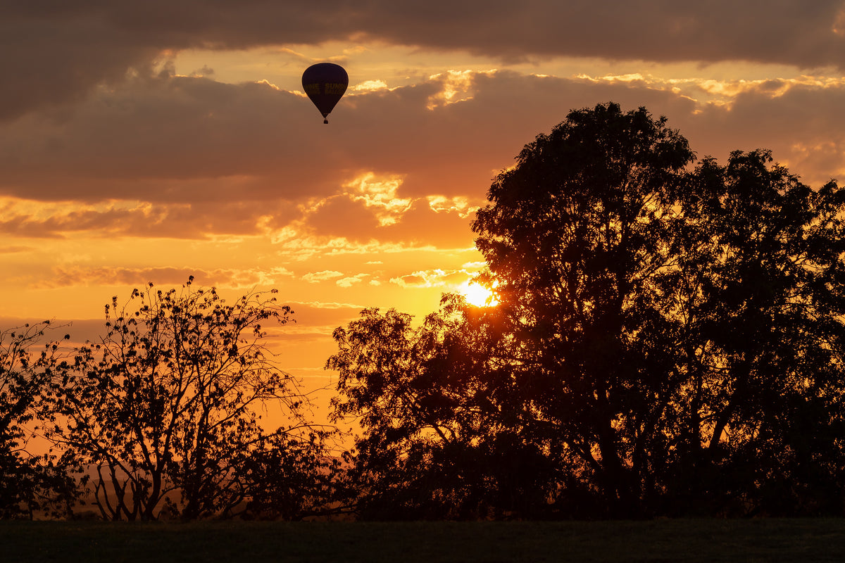 canvas-print-gentle-flight-over-the-landscape