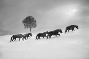 framedposter-print-untitled-xnw