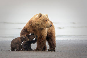canvas-print-family-time