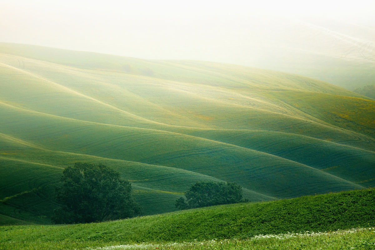 poster-print-tuscany