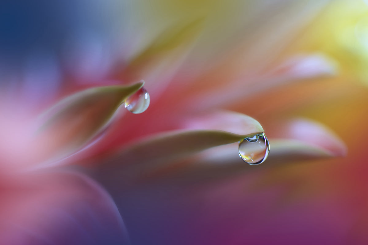 framedcanvas-print-sound-of-colors-x