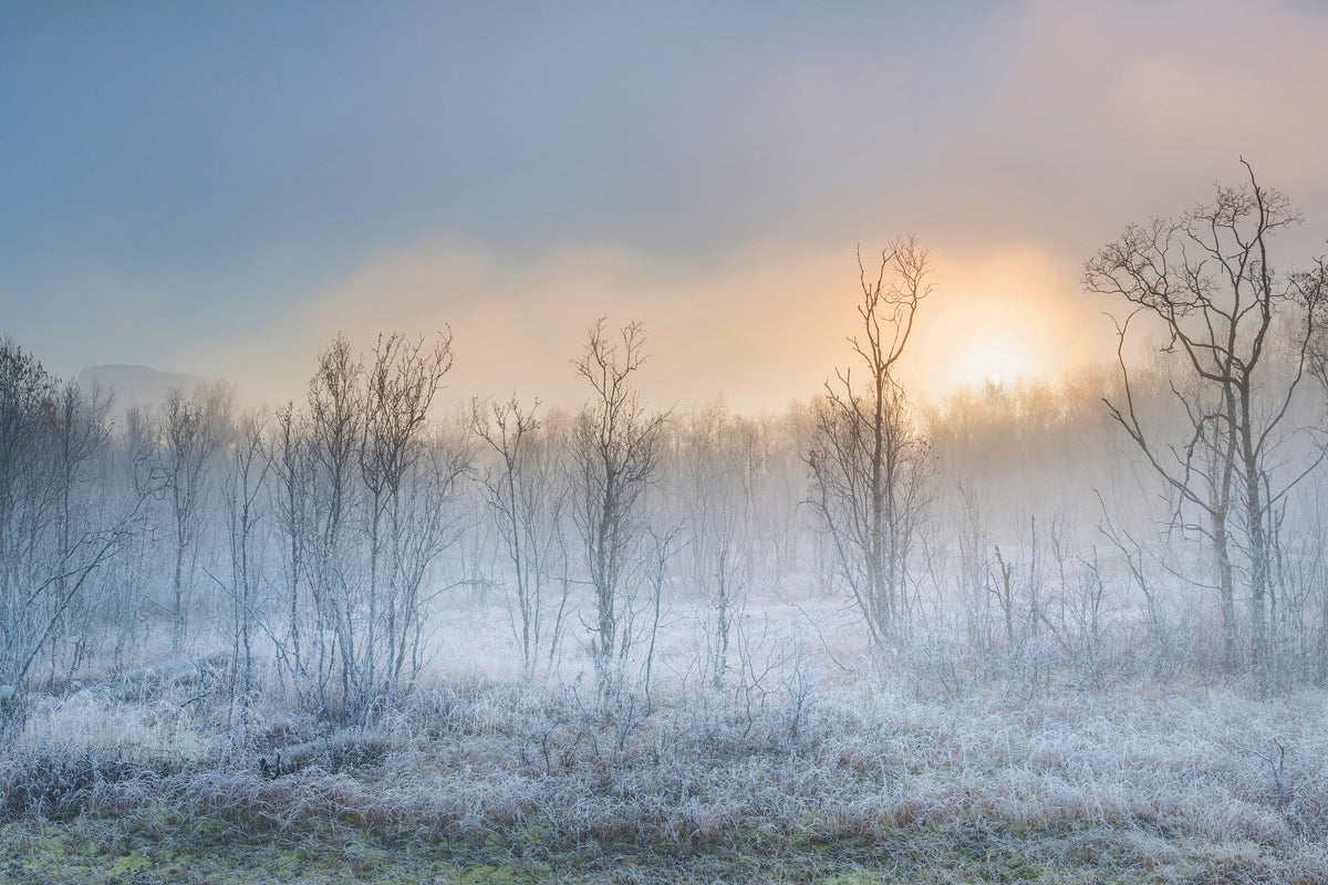 modern-3-piece-canvas-print-a-touch-of-winter