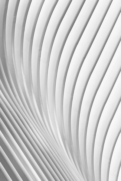 poster-print-calatrava-lines-x