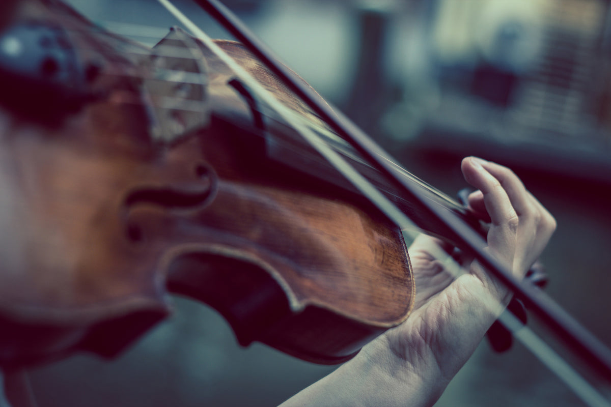 aluminium-print-violin