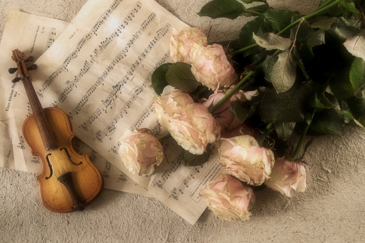 acrylic-print-the-violin
