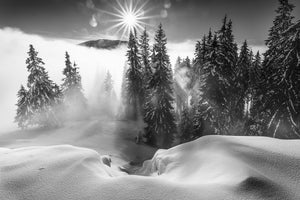 modern-3-piece-aluminium-print-a-winter-tale