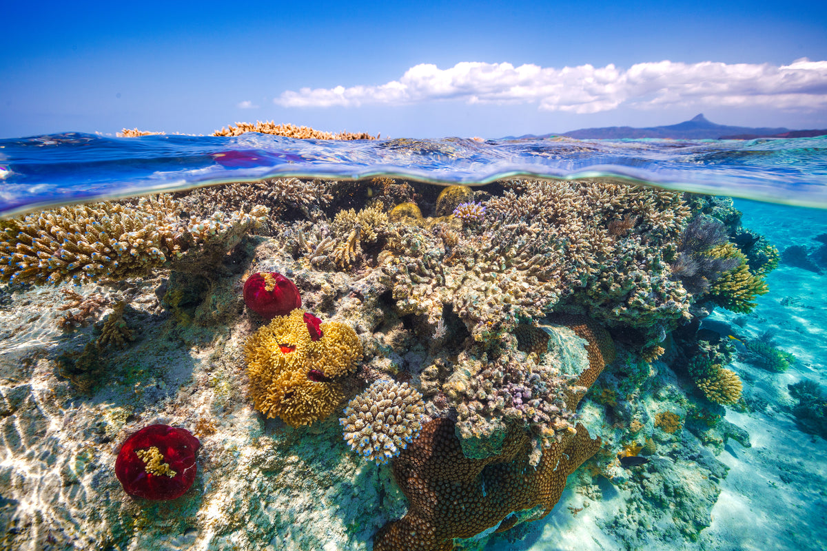 3-piece-aluminium-print-mayotte-the-reef