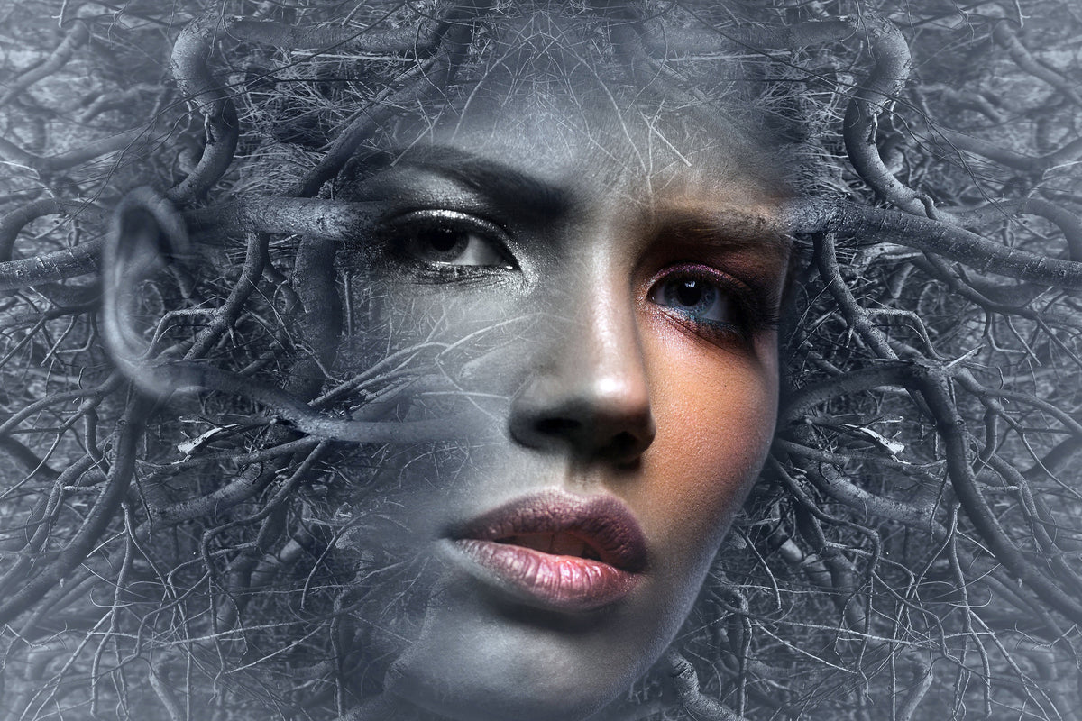3-piece-aluminium-print-fantasy-face