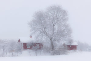 acrylic-print-winter-idyll-x