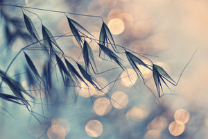 3-piece-acrylic-print-straws