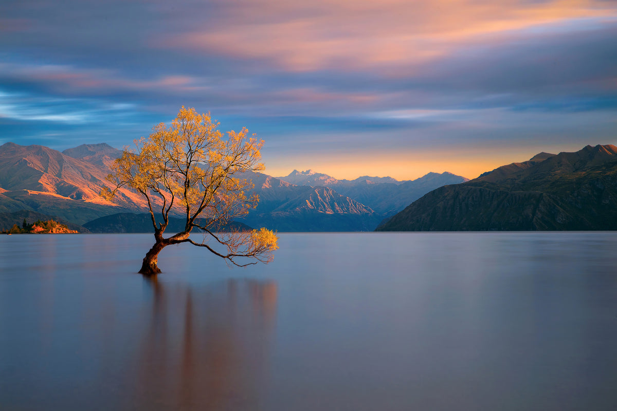 canvas-print-morning-glow