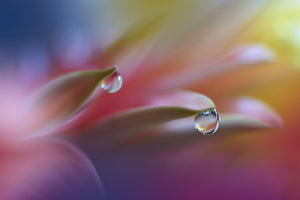 poster-print-sound-of-colors-x