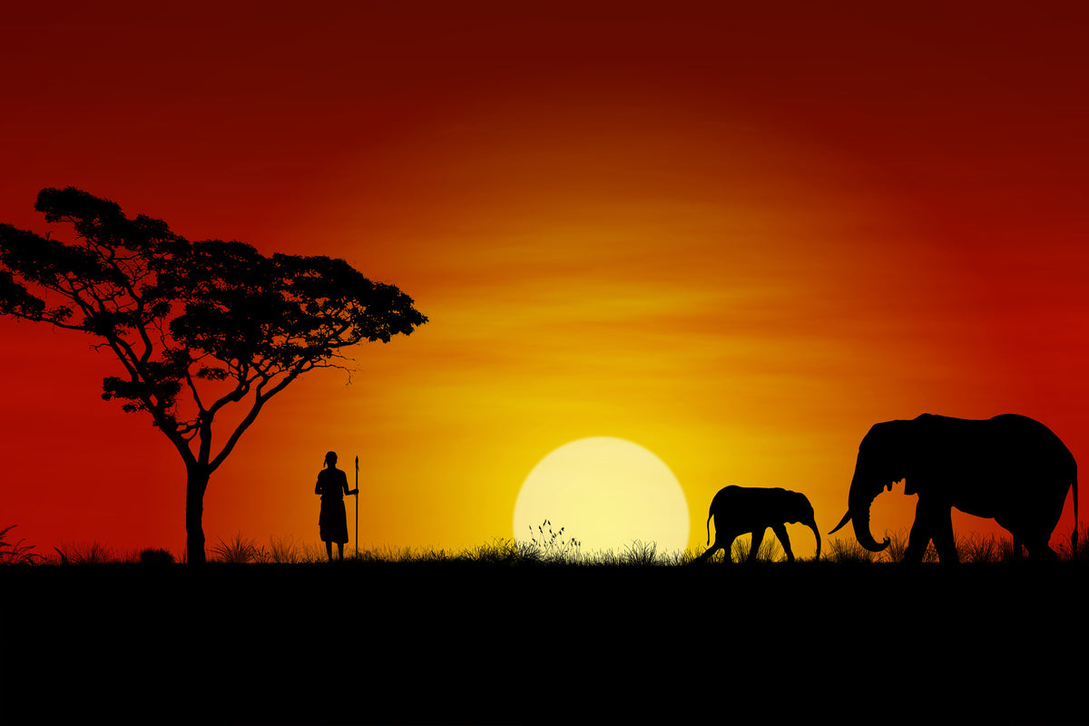 3-piece-aluminium-print-african-steppe-elephant