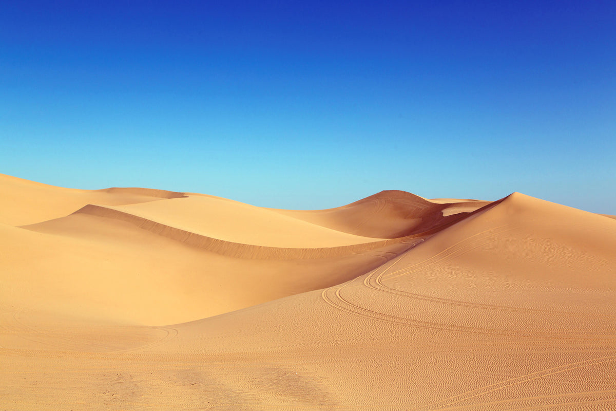 canvas-print-beauty-desert