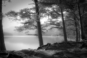 framedcanvas-print-loch-an-eilein