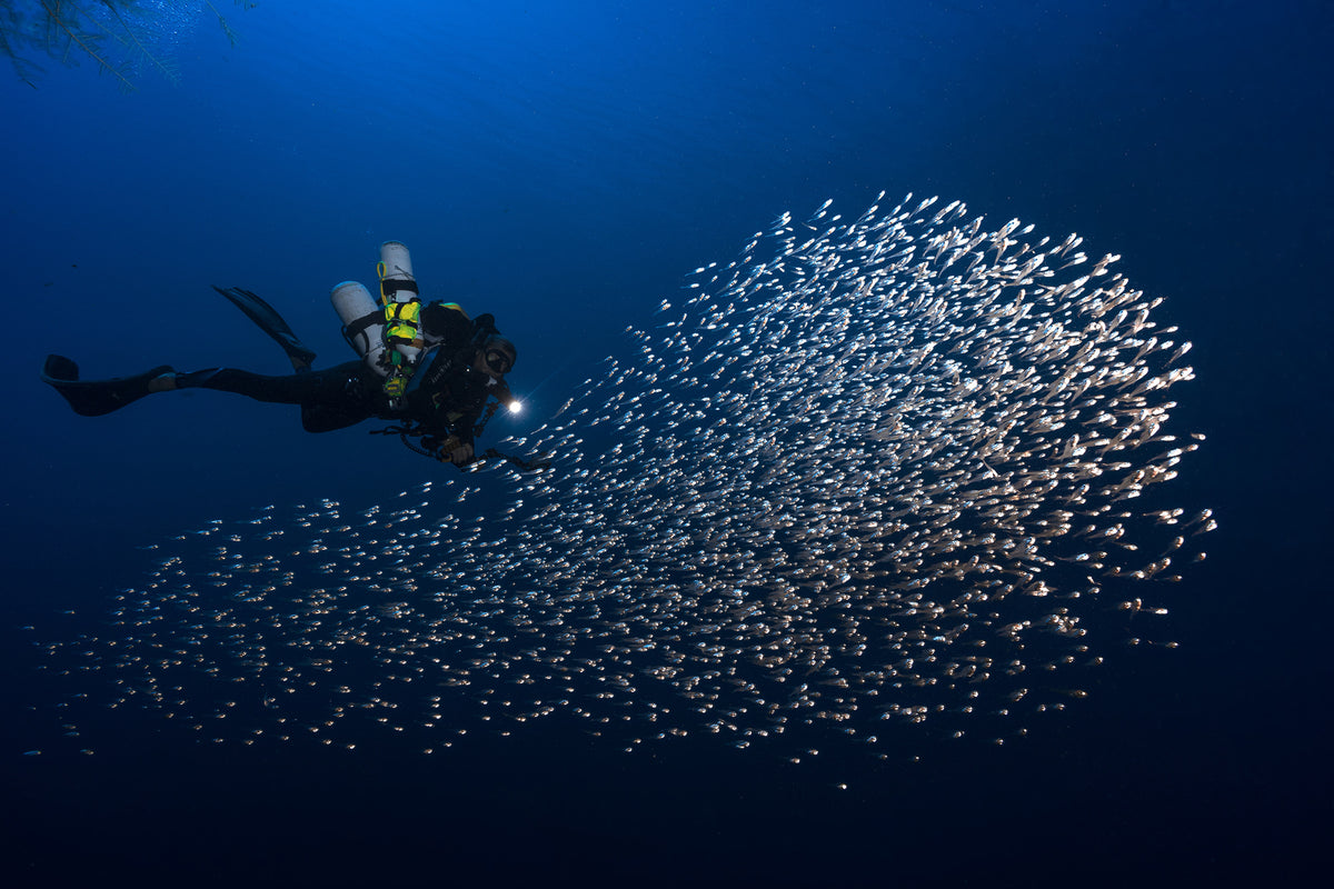 framedcanvas-print-alvin-shoal