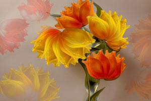 poster-print-four-tulips-x