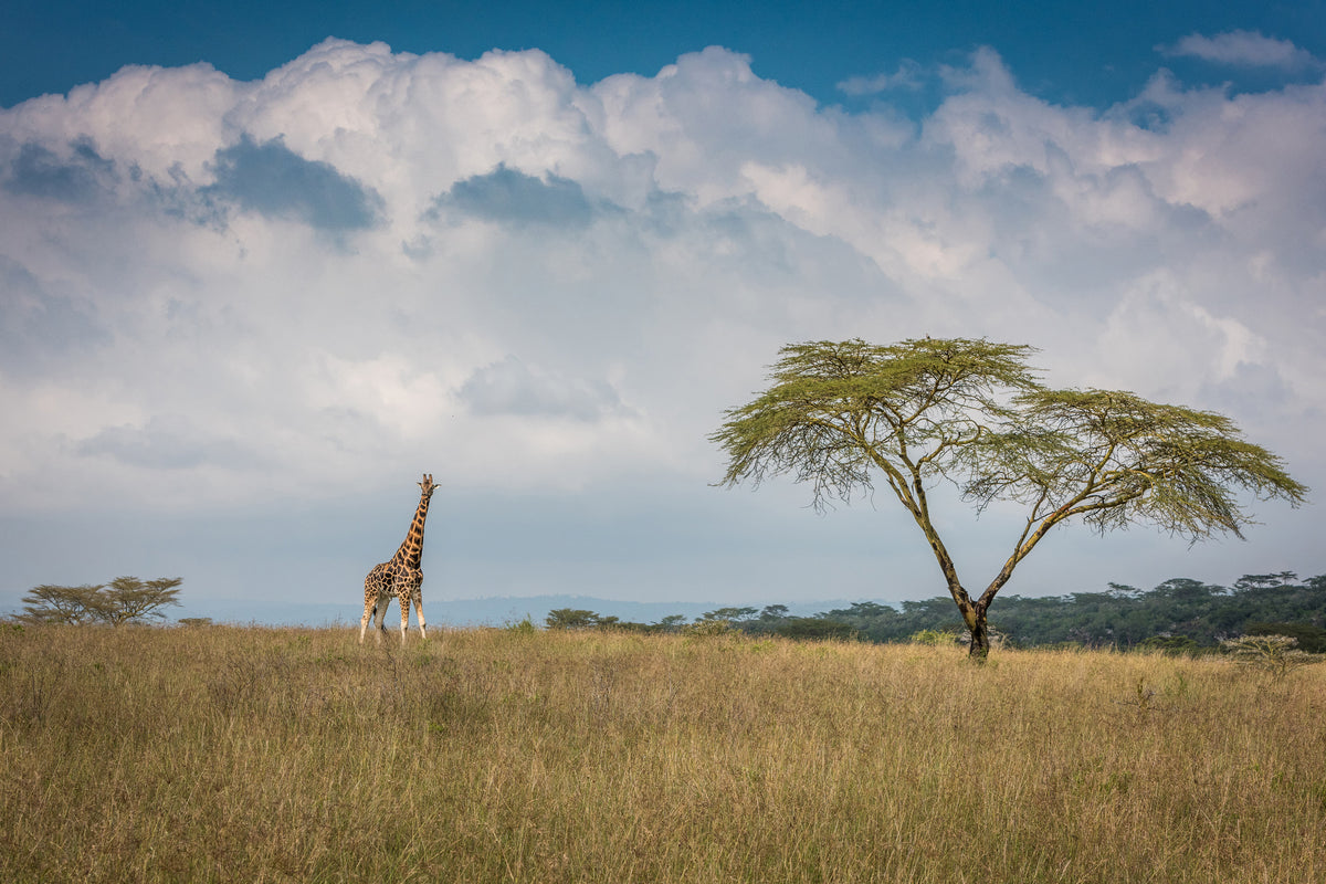 canvas-print-east-africa