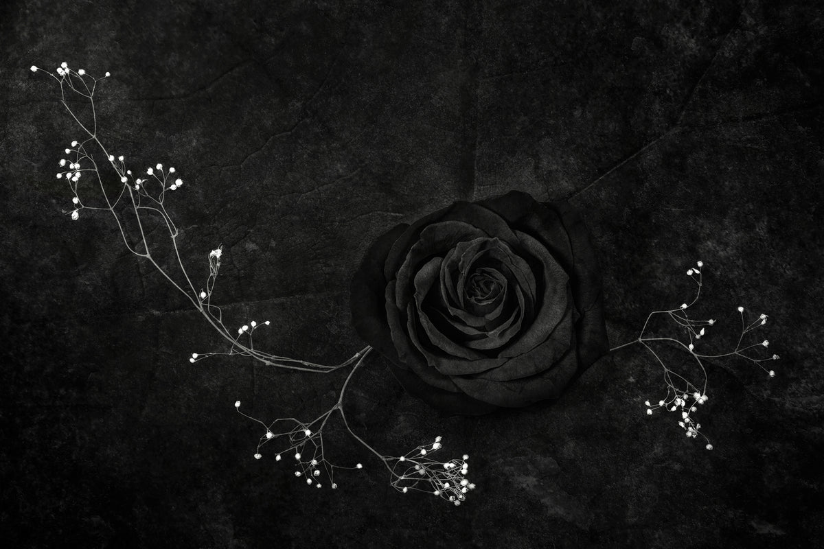 framedposter-print-rose-noire