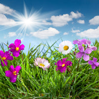 9-piece-acrylic-print-flowering-meadow