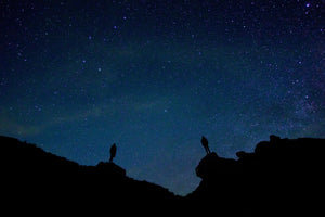 framedcanvas-print-the-stargazers